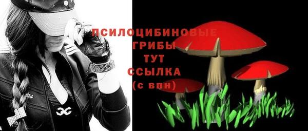 а пвп мука Белокуриха